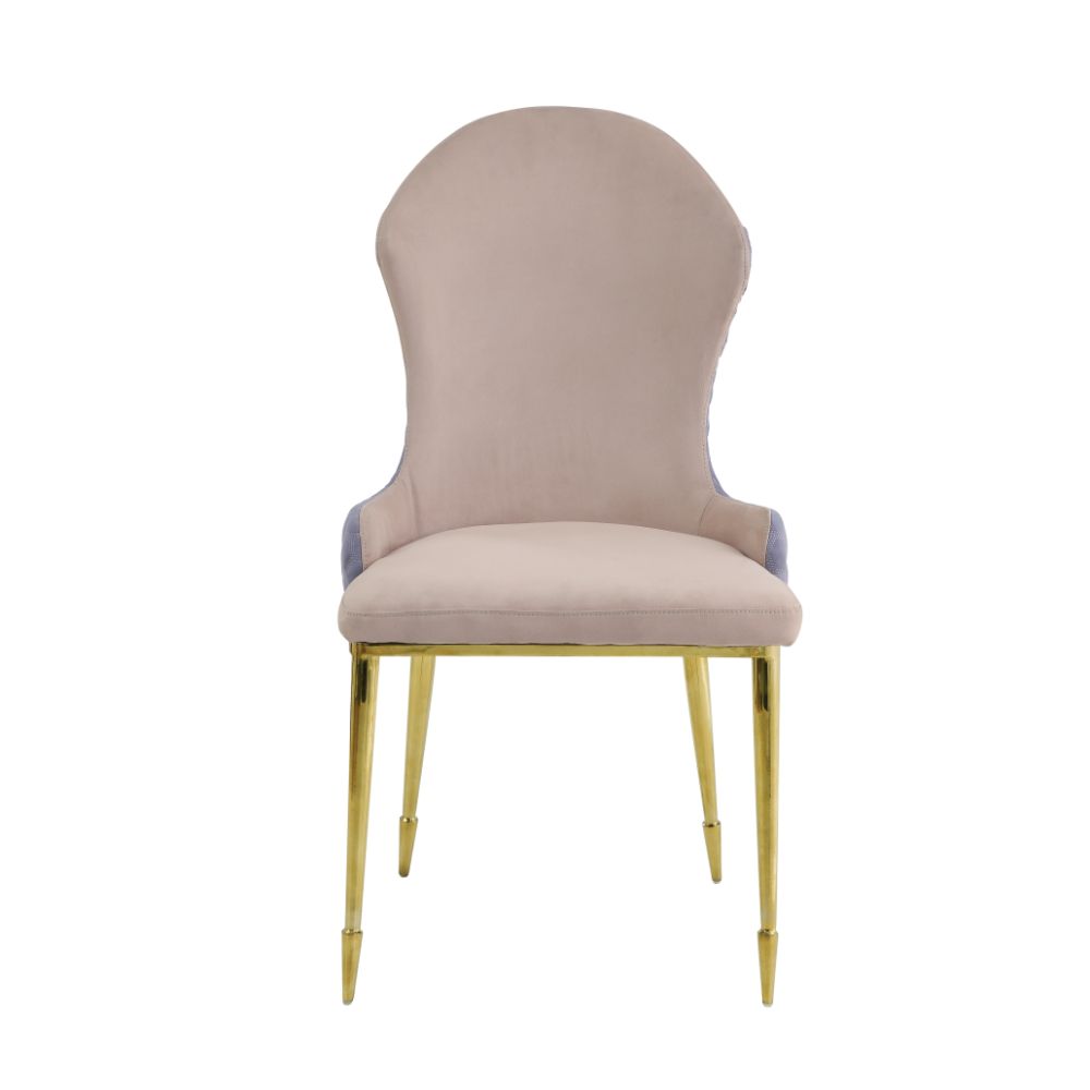 Caolan Side Chair (2Pc)