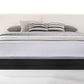 Modrest Tokyo - Contemporary Black and White Platform Bed