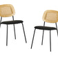 Modern Alizee - Modern Rattan and Black Dining Chair Set of 2