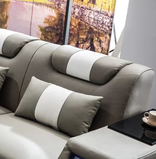 Modern Genuine Leather Sectional