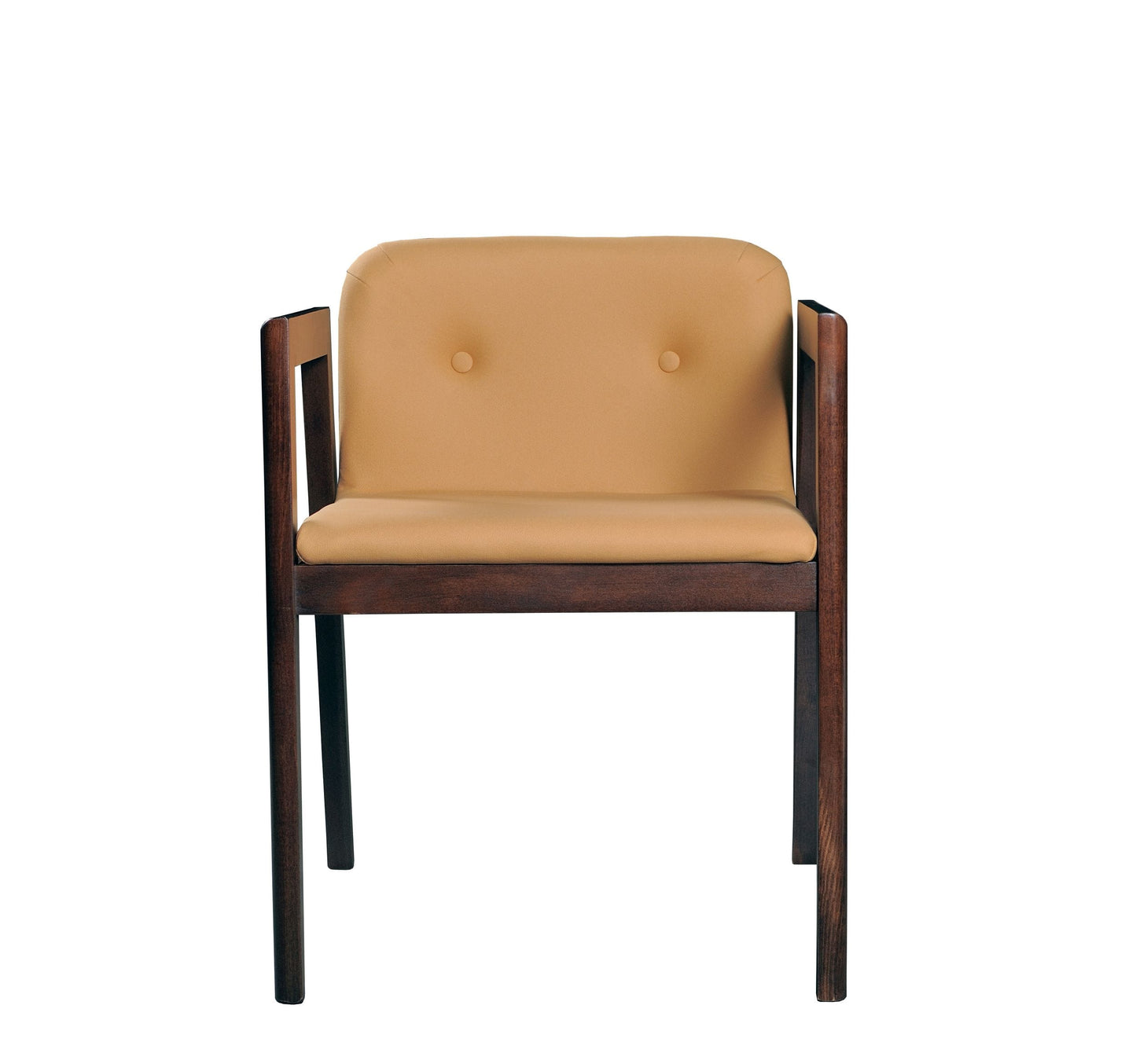 Modrest Avrum - Modern Camel Eco-Leather Dining Chair (Set of 2)