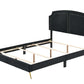 Zeena Queen Bed