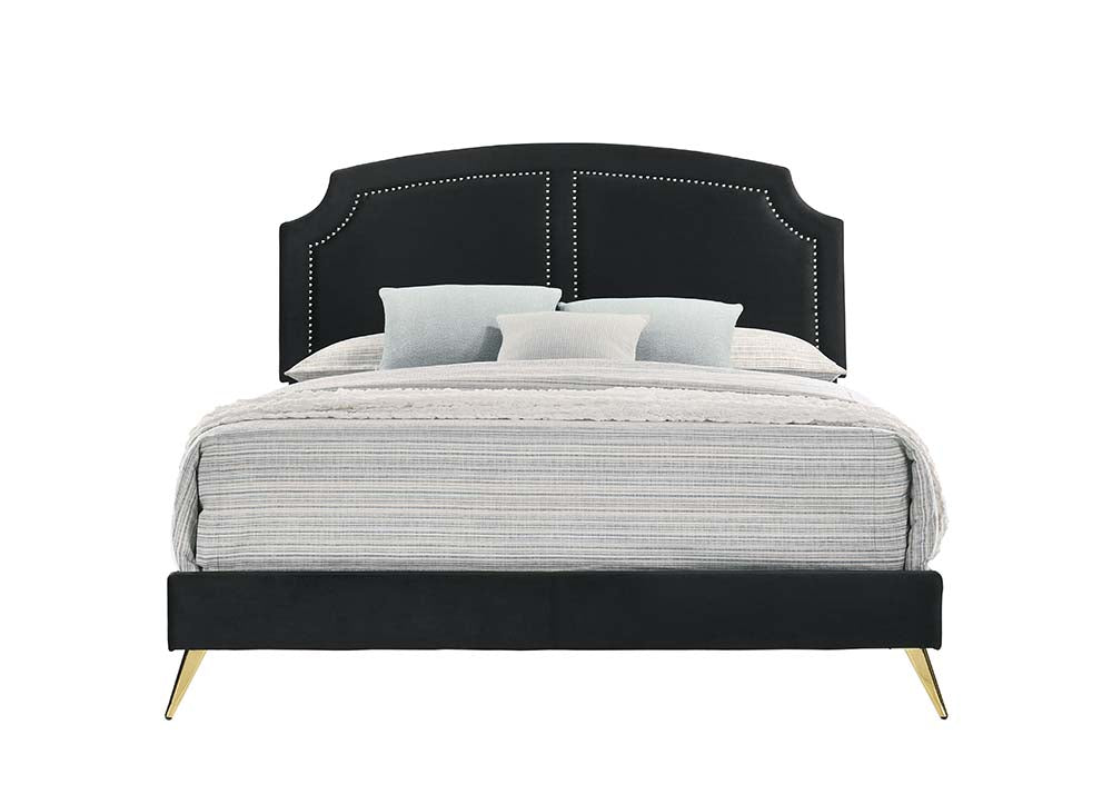 Zeena Queen Bed