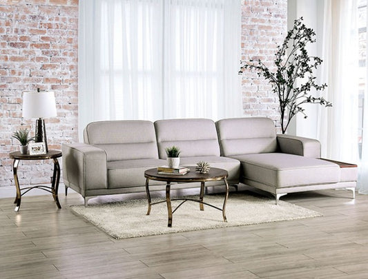 Light Gray Modern Sectional